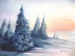 2009-11 verschneite tannen am abend